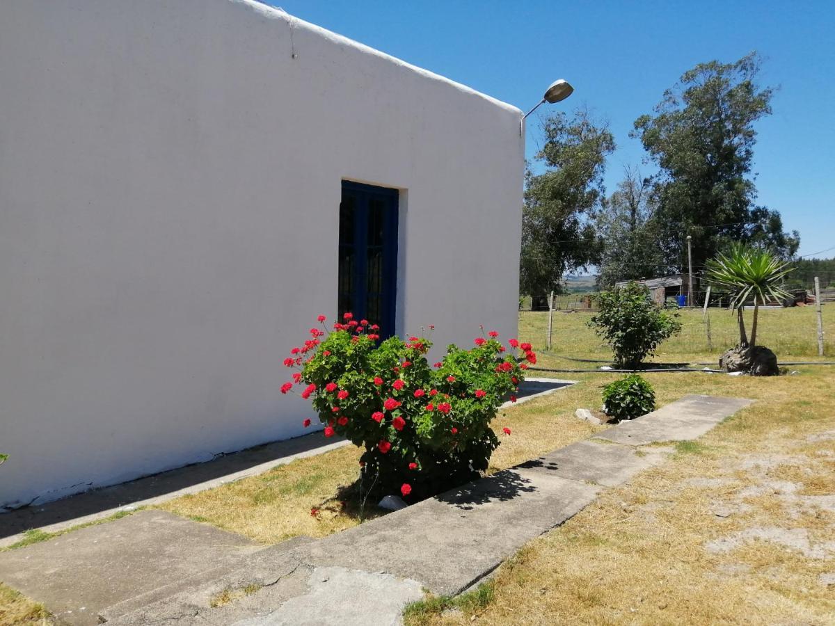 La Chacra Guest House Minas Exterior photo